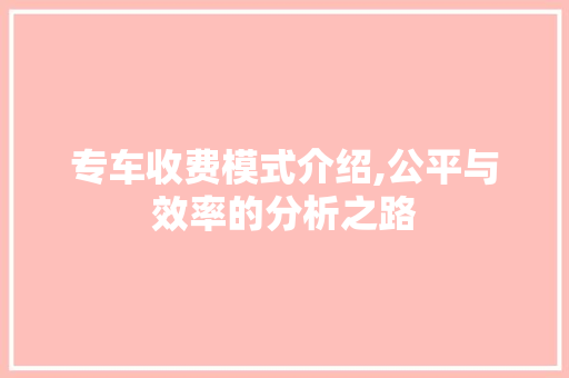 专车收费模式介绍,公平与效率的分析之路