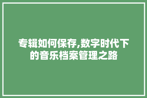 专辑如何保存,数字时代下的音乐档案管理之路