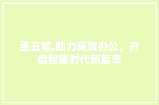 丞五笔,助力高效办公，开启智能时代新篇章