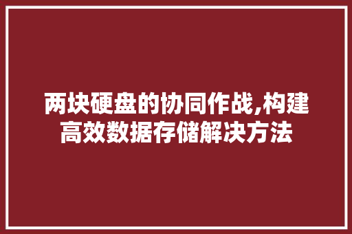两块硬盘的协同作战,构建高效数据存储解决方法