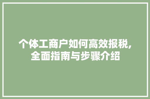 个体工商户如何高效报税,全面指南与步骤介绍