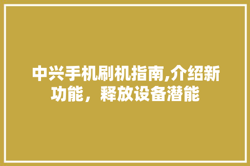 中兴手机刷机指南,介绍新功能，释放设备潜能