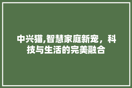 中兴猫,智慧家庭新宠，科技与生活的完美融合