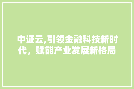 中证云,引领金融科技新时代，赋能产业发展新格局