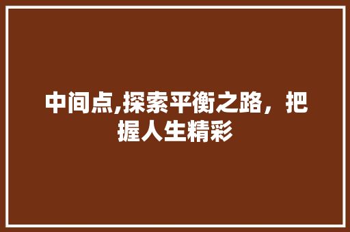 中间点,探索平衡之路，把握人生精彩
