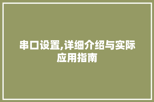 串口设置,详细介绍与实际应用指南