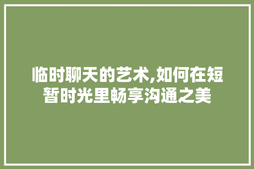 临时聊天的艺术,如何在短暂时光里畅享沟通之美