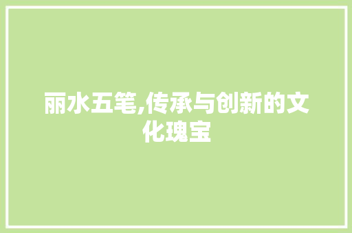 丽水五笔,传承与创新的文化瑰宝