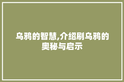 乌鸦的智慧,介绍刷乌鸦的奥秘与启示