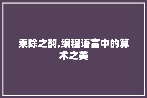 乘除之韵,编程语言中的算术之美