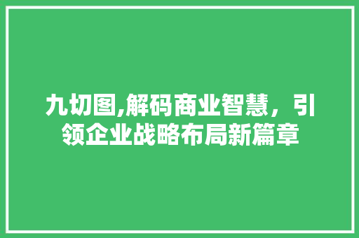 九切图,解码商业智慧，引领企业战略布局新篇章