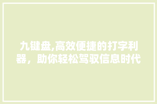 九键盘,高效便捷的打字利器，助你轻松驾驭信息时代
