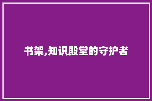 书架,知识殿堂的守护者