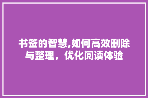 书签的智慧,如何高效删除与整理，优化阅读体验