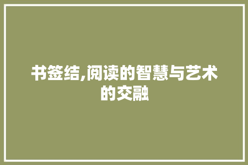 书签结,阅读的智慧与艺术的交融