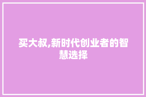 买大叔,新时代创业者的智慧选择