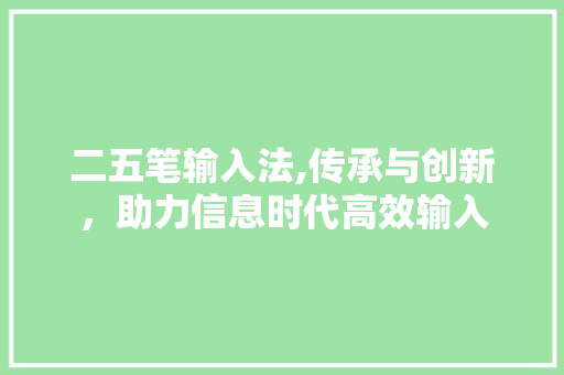 二五笔输入法,传承与创新，助力信息时代高效输入