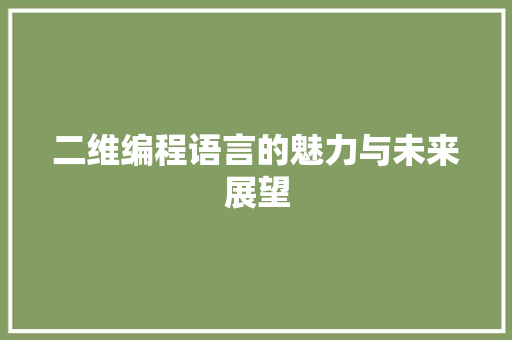 二维编程语言的魅力与未来展望