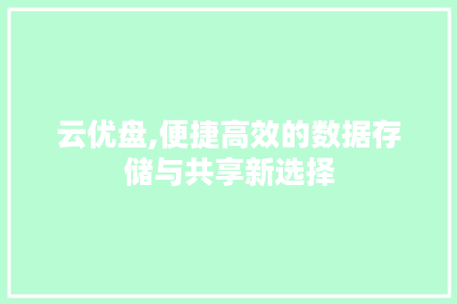 云优盘,便捷高效的数据存储与共享新选择