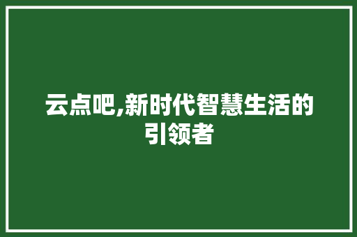 云点吧,新时代智慧生活的引领者