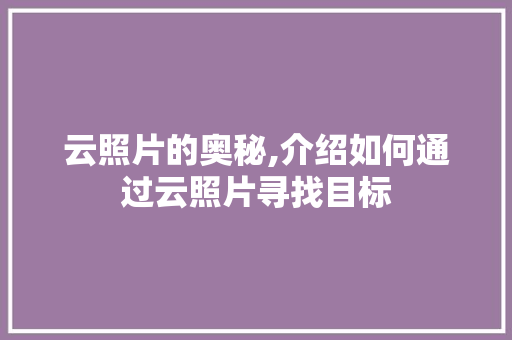 云照片的奥秘,介绍如何通过云照片寻找目标