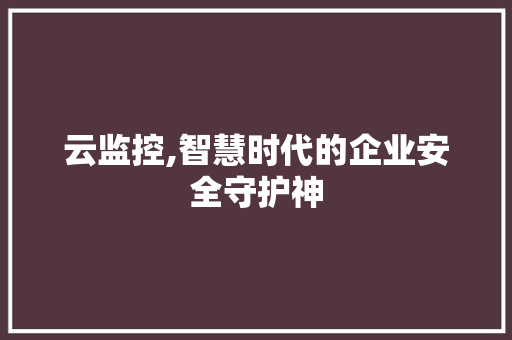 云监控,智慧时代的企业安全守护神