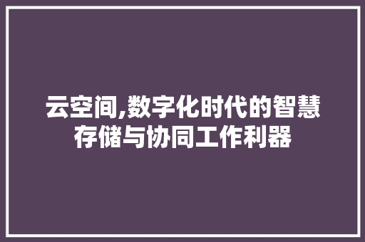 云空间,数字化时代的智慧存储与协同工作利器