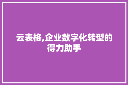 云表格,企业数字化转型的得力助手