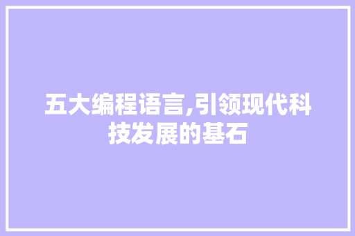 五大编程语言,引领现代科技发展的基石