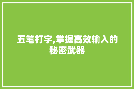 五笔打字,掌握高效输入的秘密武器