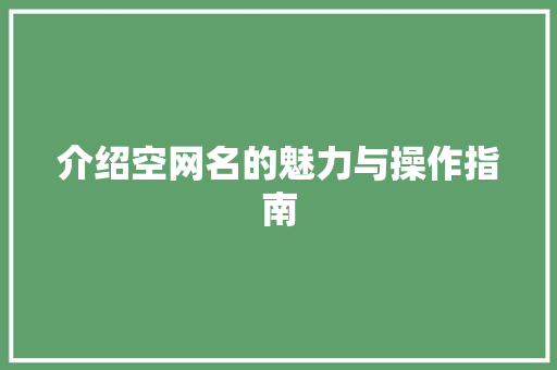 介绍空网名的魅力与操作指南