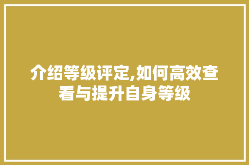 介绍等级评定,如何高效查看与提升自身等级