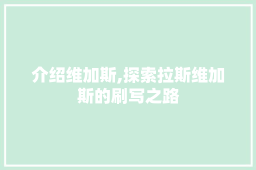 介绍维加斯,探索拉斯维加斯的刷写之路