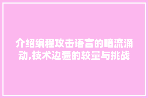 介绍编程攻击语言的暗流涌动,技术边疆的较量与挑战