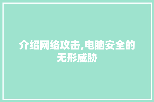 介绍网络攻击,电脑安全的无形威胁