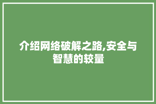 介绍网络破解之路,安全与智慧的较量