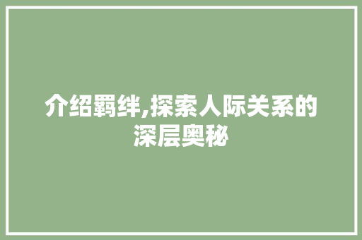 介绍羁绊,探索人际关系的深层奥秘