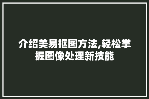 介绍美易抠图方法,轻松掌握图像处理新技能