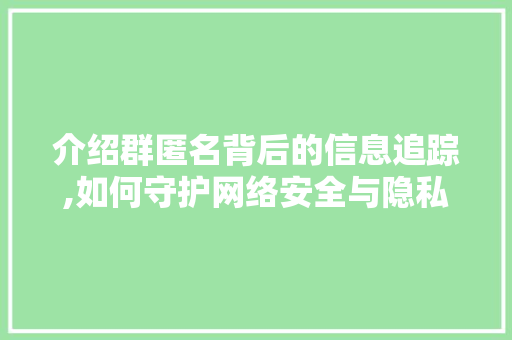 介绍群匿名背后的信息追踪,如何守护网络安全与隐私
