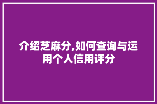介绍芝麻分,如何查询与运用个人信用评分