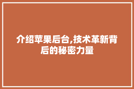 介绍苹果后台,技术革新背后的秘密力量