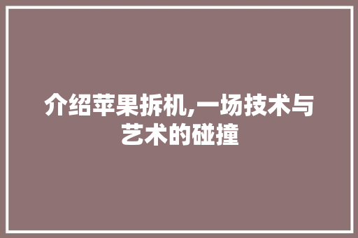 介绍苹果拆机,一场技术与艺术的碰撞