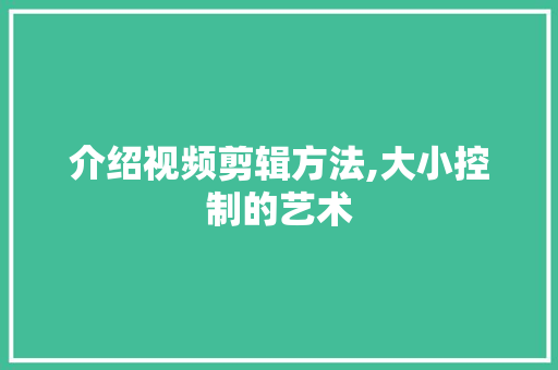 介绍视频剪辑方法,大小控制的艺术