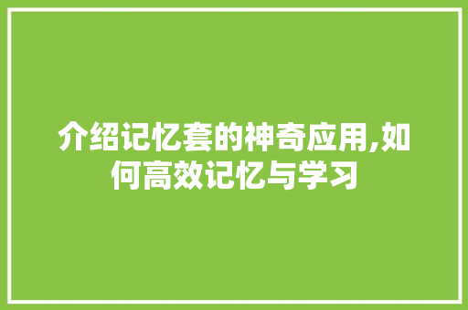 介绍记忆套的神奇应用,如何高效记忆与学习