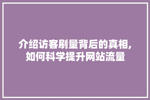 介绍访客刷量背后的真相,如何科学提升网站流量