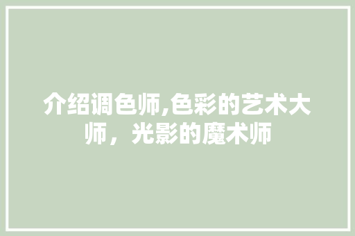 介绍调色师,色彩的艺术大师，光影的魔术师
