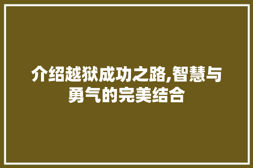 介绍越狱成功之路,智慧与勇气的完美结合