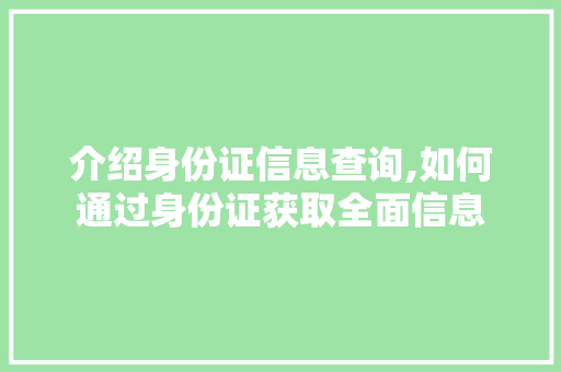 介绍身份证信息查询,如何通过身份证获取全面信息