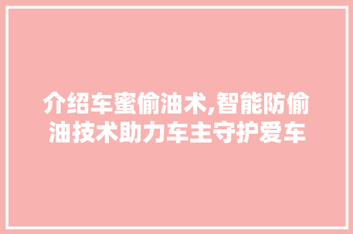 介绍车蜜偷油术,智能防偷油技术助力车主守护爱车