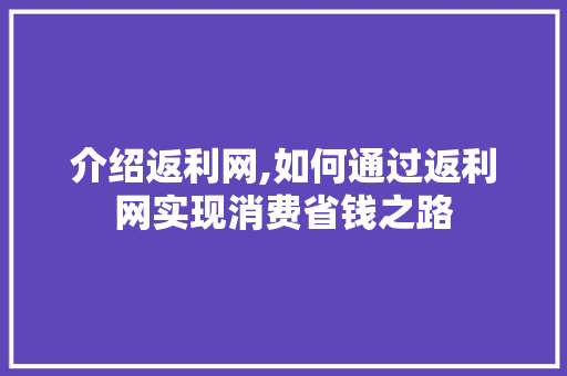 介绍返利网,如何通过返利网实现消费省钱之路